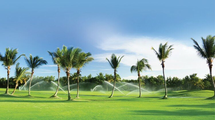 architects reduce irrigation