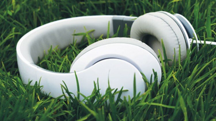 The Art of Listening to the Turf