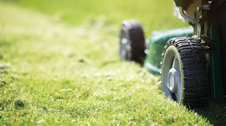 annual bluegrass weevil control golf