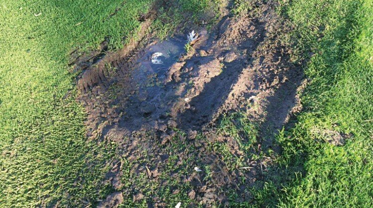 maximizing irrigation efficiency golf