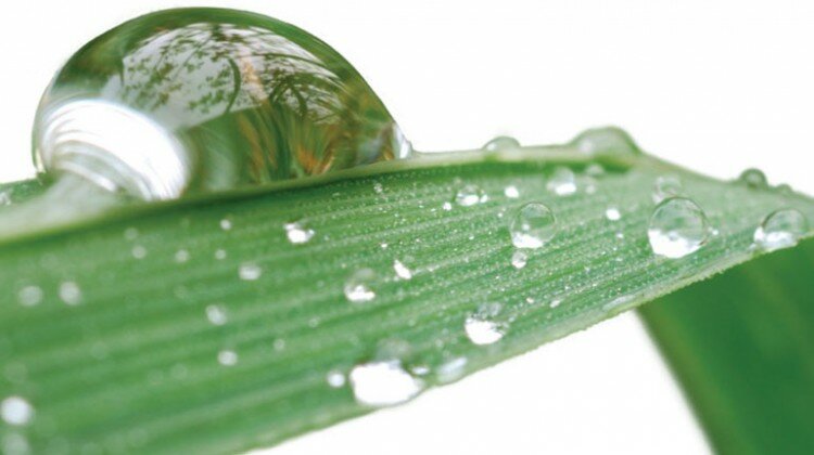 wetting agents golf