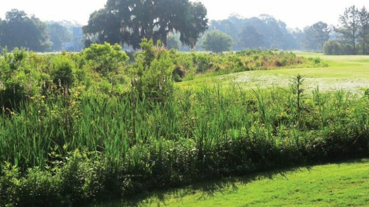 Audubon Cooperative Sanctuary Program