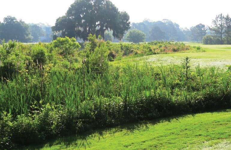 Audubon Cooperative Sanctuary Program