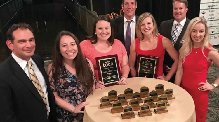 TOCA Award Winners