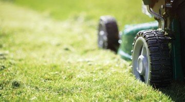annual bluegrass weevil control golf